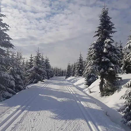 Pod Modrinem Hébergement de vacances *